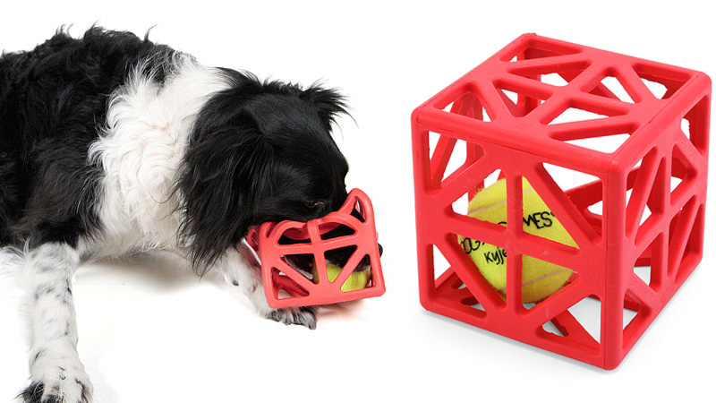 Illustration for article titled Everything You Need To Completely and Utterly Humiliate Your Pet